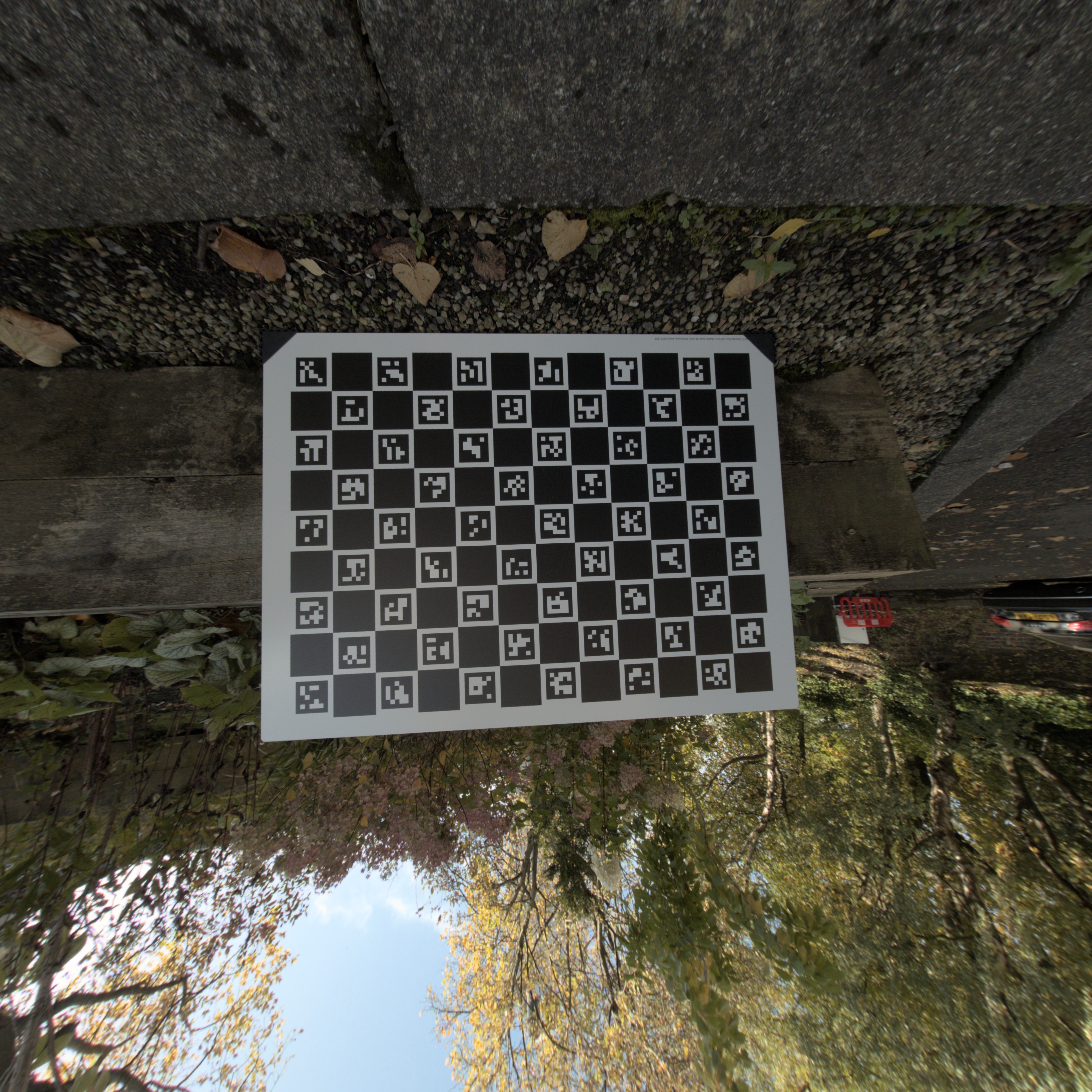 Undistorted Image Example